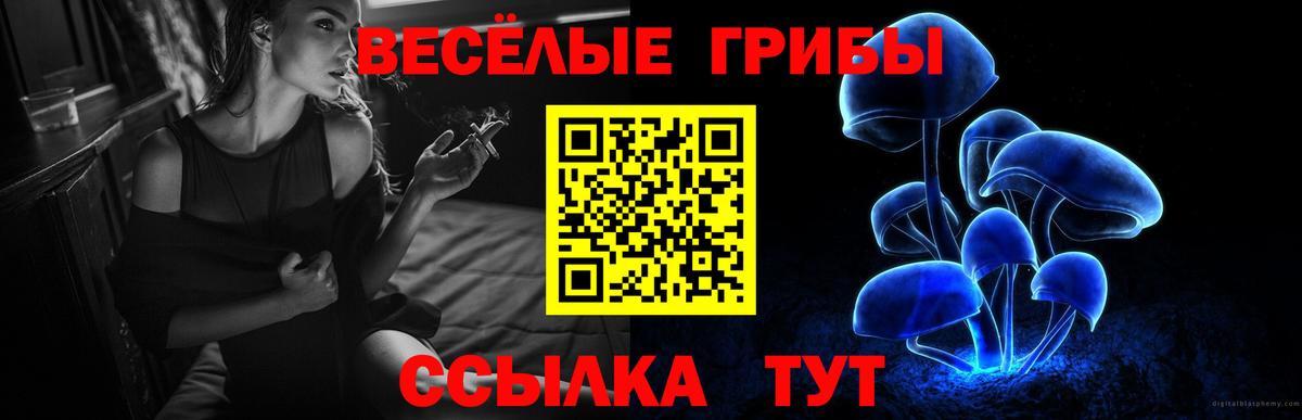 Галлюциногенные грибы Psilocybe Дальнереченск